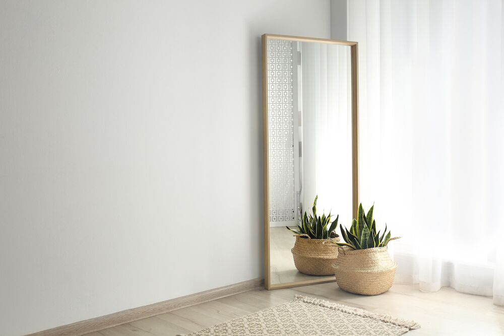 A plant sits in front of a mirror in a sunny apartment.
