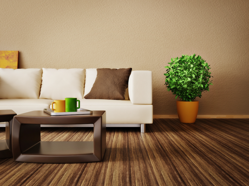 Modern apartment interior with a sofa, coffee table, and plant