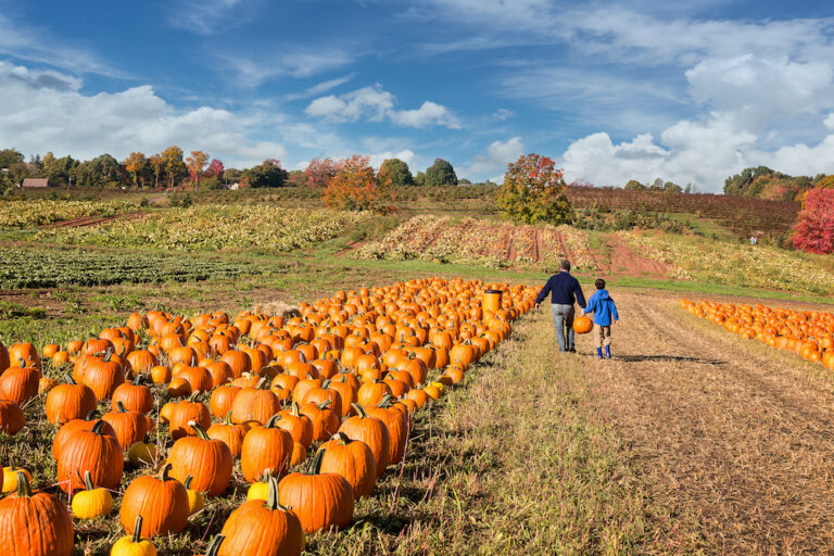 Our Favorite Fall Activities to Check Out in Kansas City